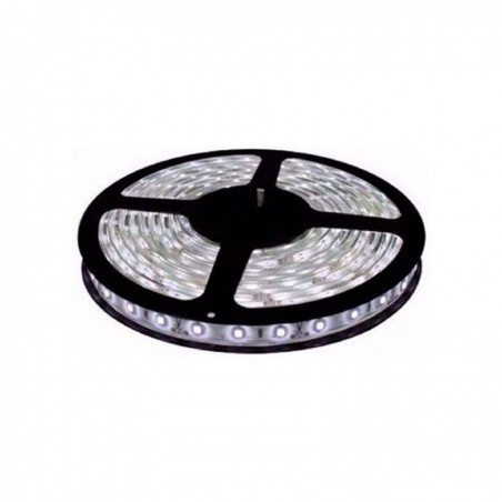 Fita LED 5M 6500K